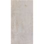 Oxido Grey Porcelain Wall & Floor Tile - 600mm x 300mm